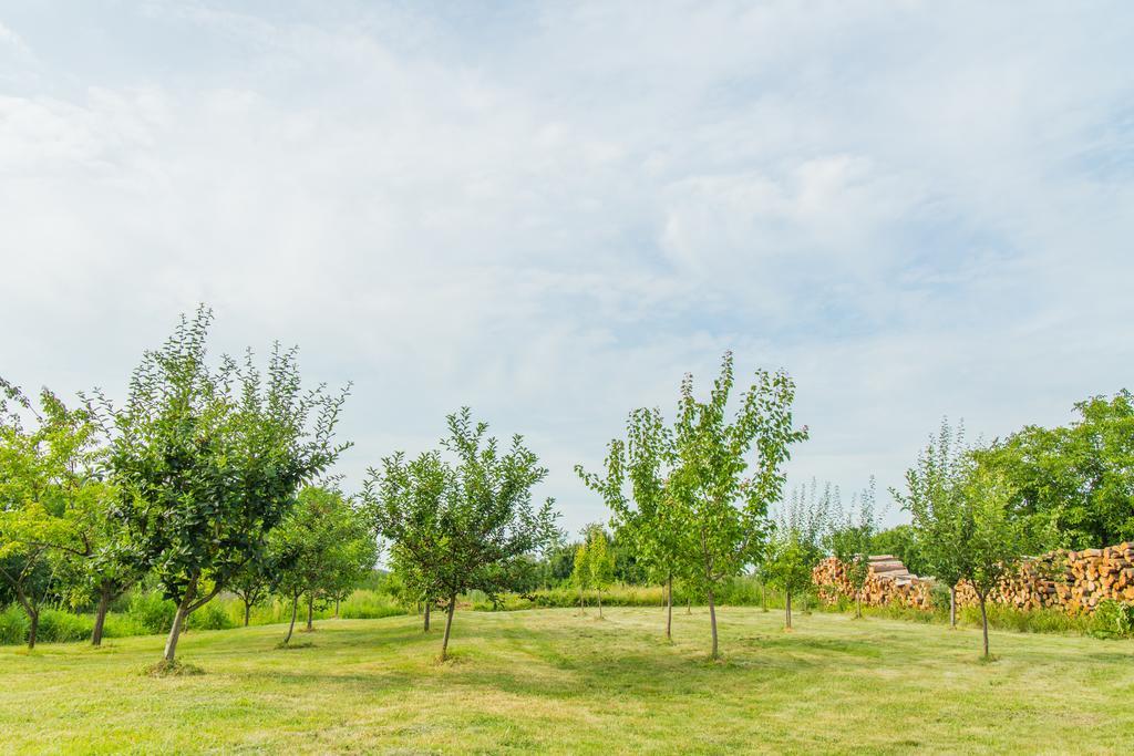 Garden Holiday Home Drenje  Luaran gambar